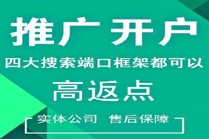 行业领先企业的sem竞价策略：成功案例剖析